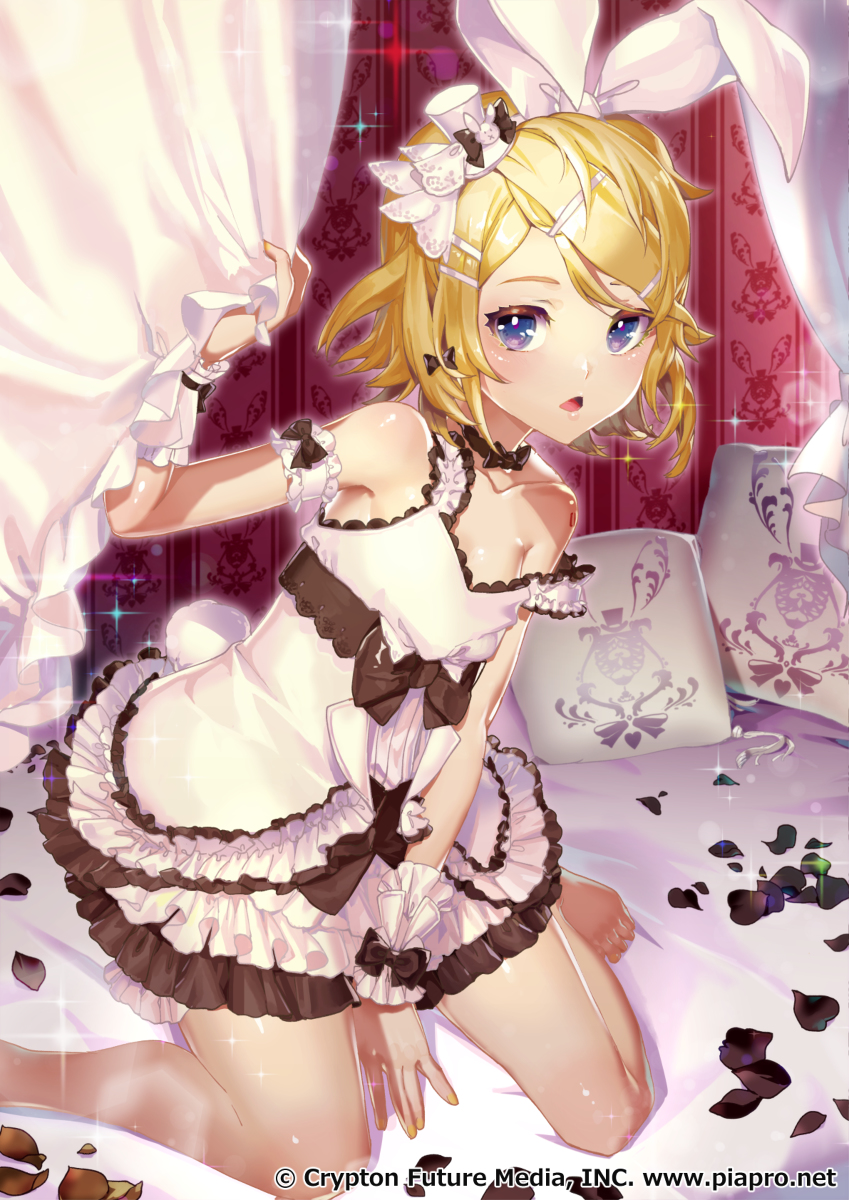 This is a pixiv picture whose title is White&Lolita.