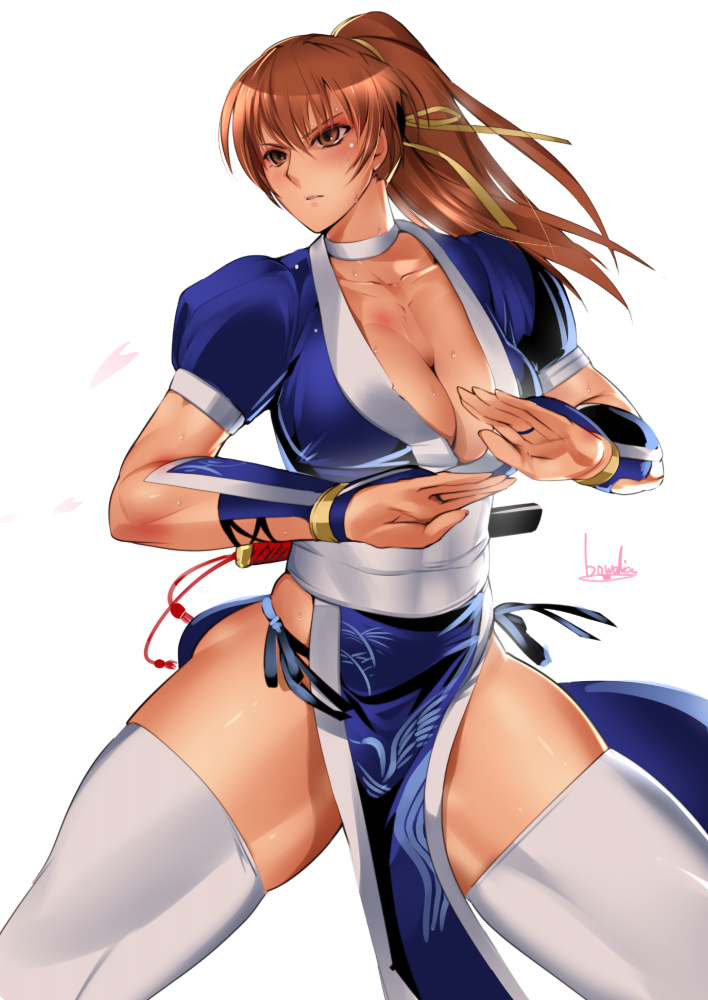 This is a pixiv picture whose title is DOA絵.