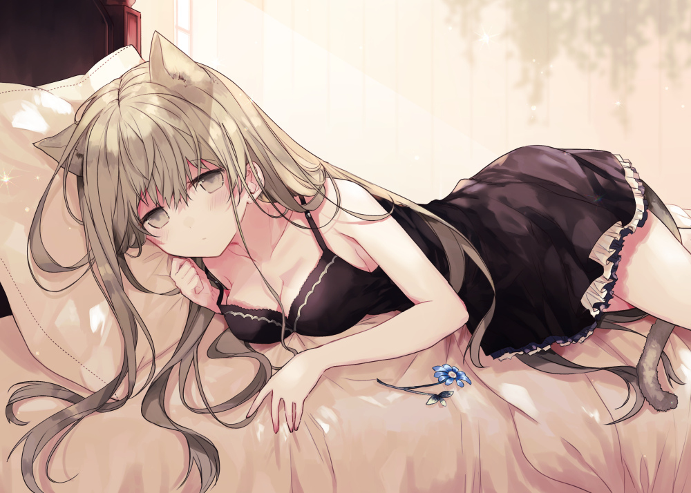 This is a pixiv picture whose title is ねこ聖女さま.