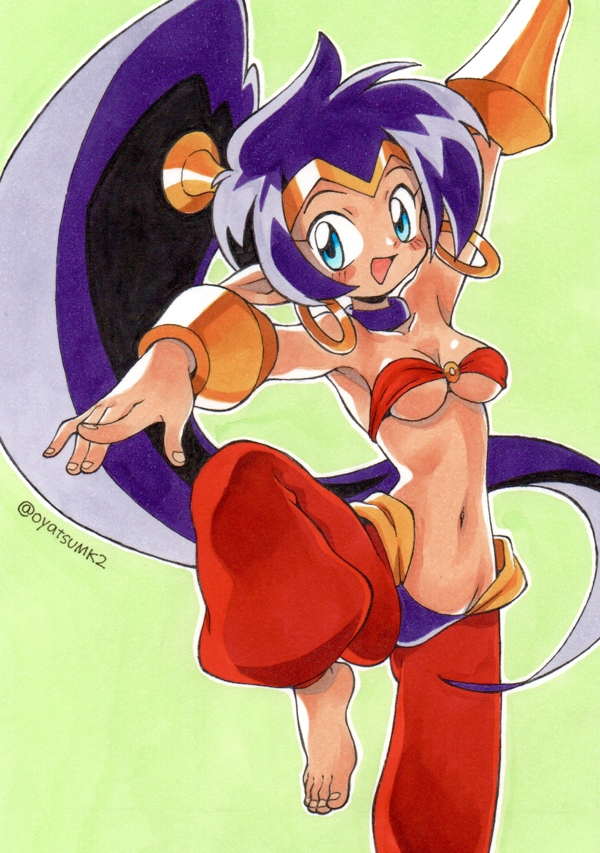 This is a pixiv picture whose title is シャンティ.