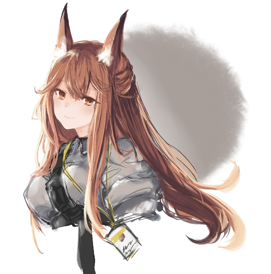 This is a pixiv picture whose title is Arknights.