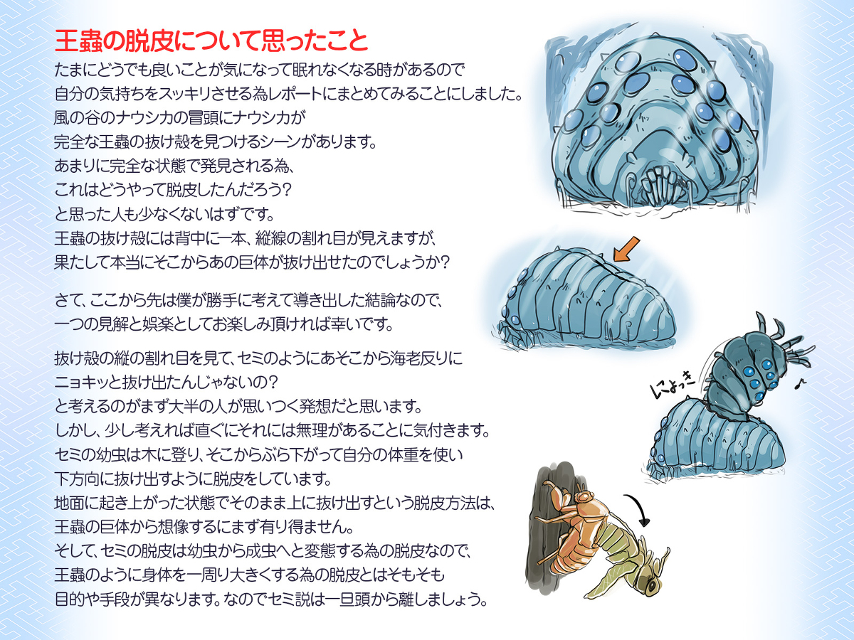 This is a pixiv picture whose title is 風の谷のナウシカ.