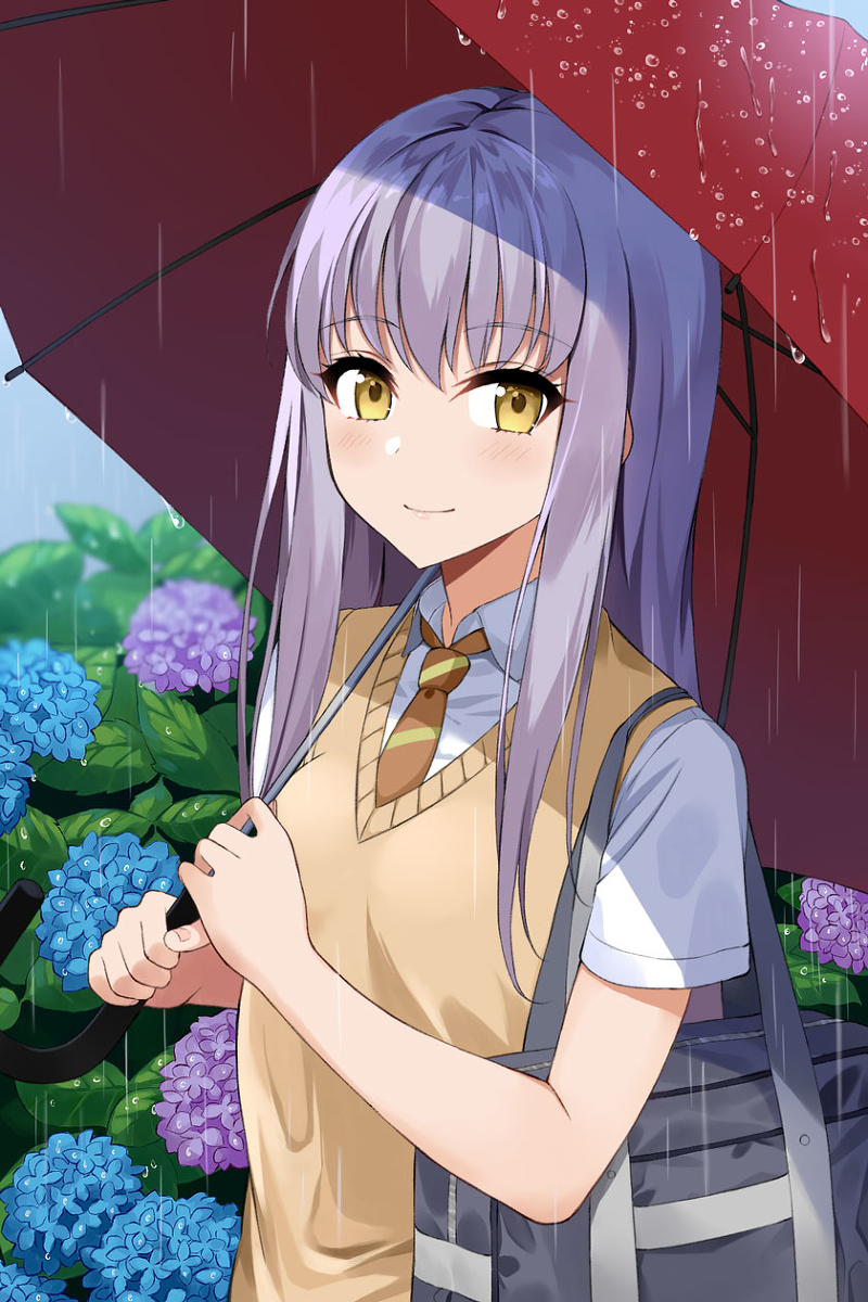 This is a pixiv picture whose title is 「梅雨」.