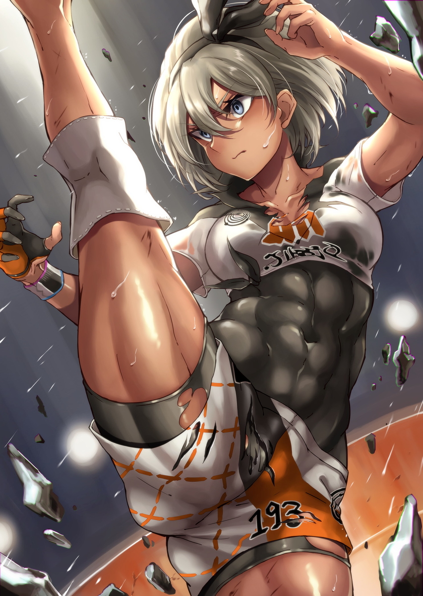 This is a pixiv picture whose title is 獅子奮迅.