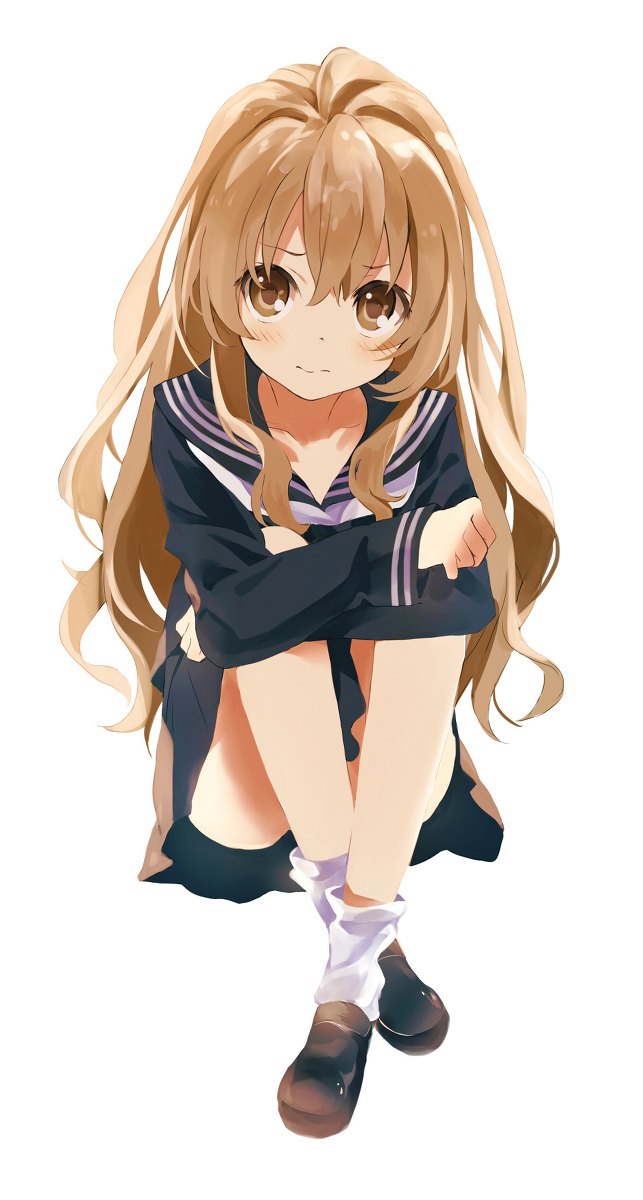 This is a pixiv picture whose title is Taiga.