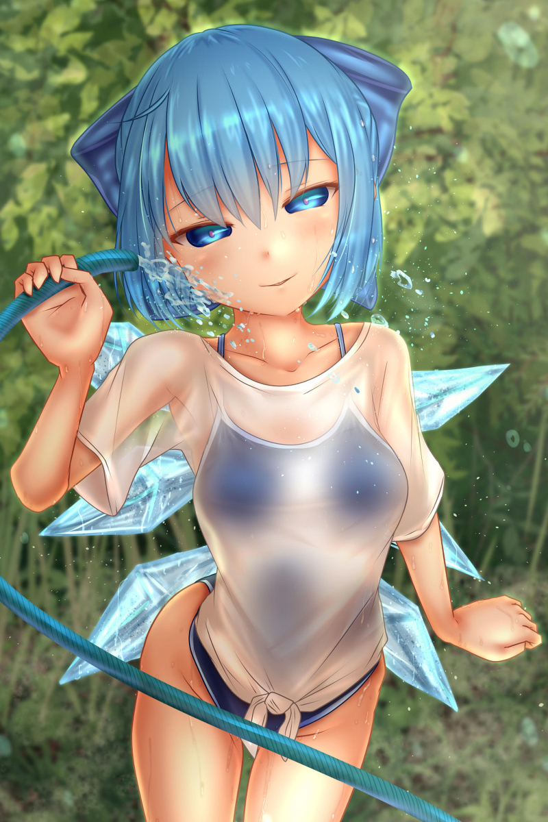 This is a pixiv picture whose title is スク水チルノ.