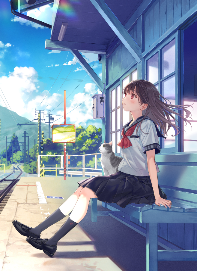 This is a pixiv picture whose title is 電車が来るまで.
