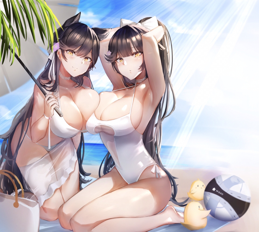 This is a pixiv picture whose title is 夏コミ表紙.