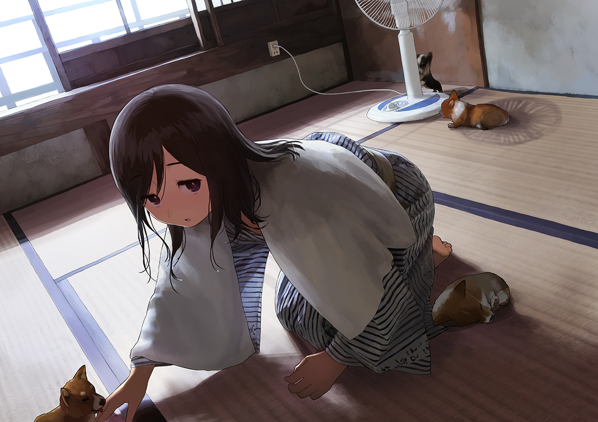 This is a pixiv picture whose title is 蒸し暑い夏、わんわんころころ.