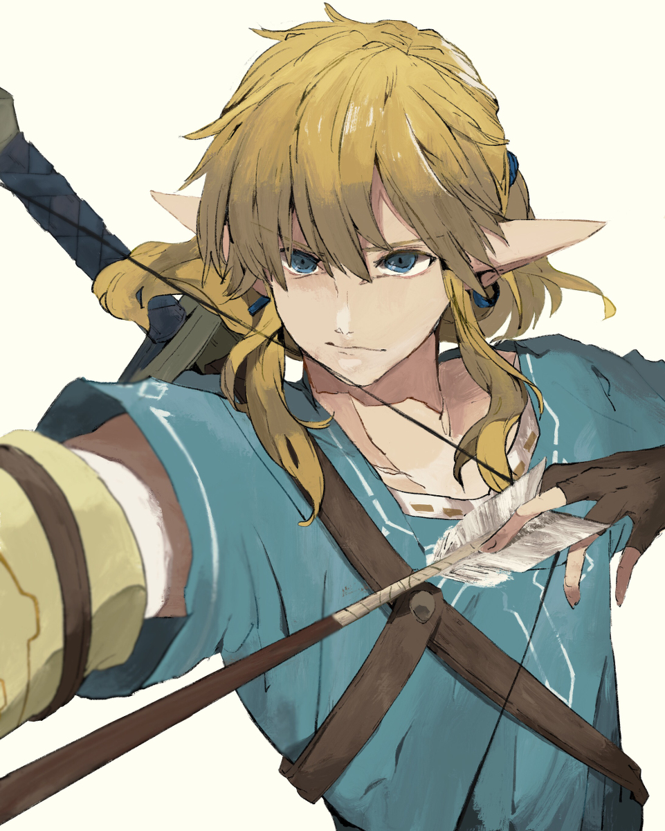 This is a pixiv picture whose title is リンク描きました.