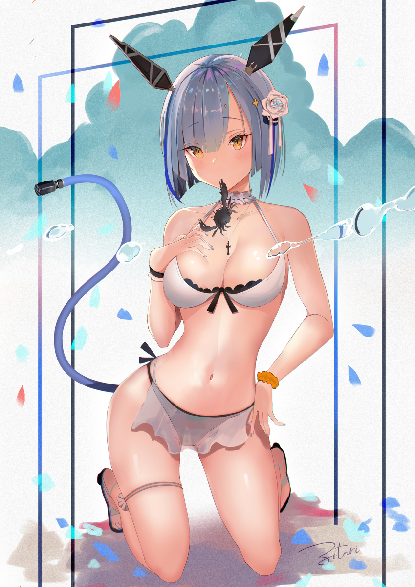 This is a pixiv picture whose title is 水着ガスコーニュ.