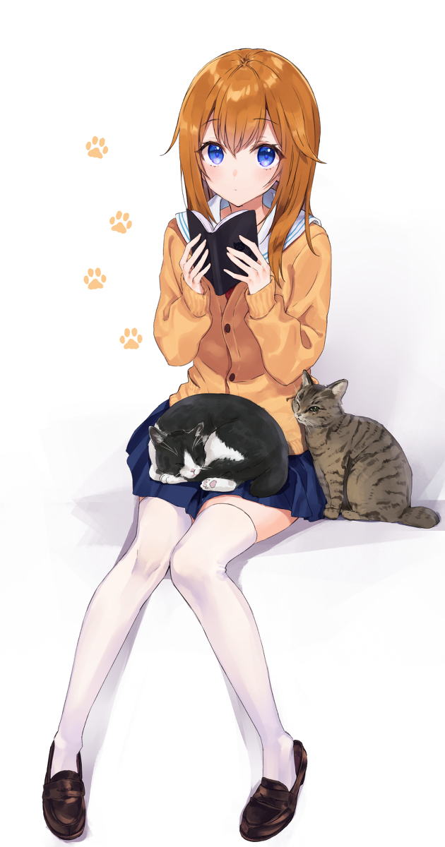 This is a pixiv picture whose title is 🐈.