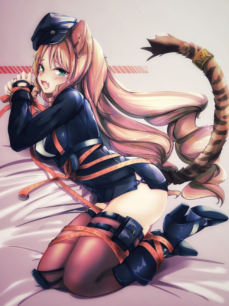 This is a pixiv picture whose title is 叉烧猫.