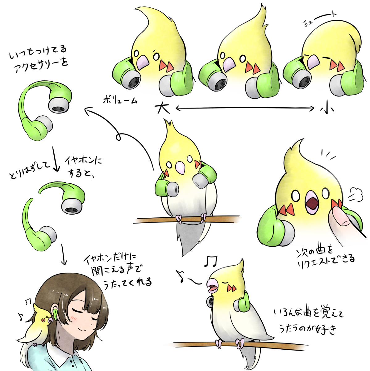 This is a pixiv picture whose title is 音楽を流してくれるオカメインコ.