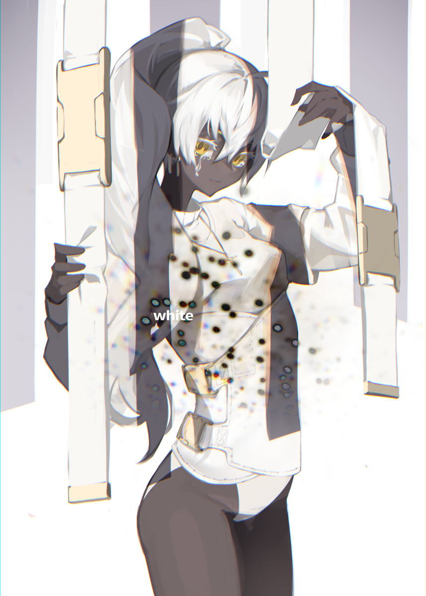 This is a pixiv picture whose title is white.