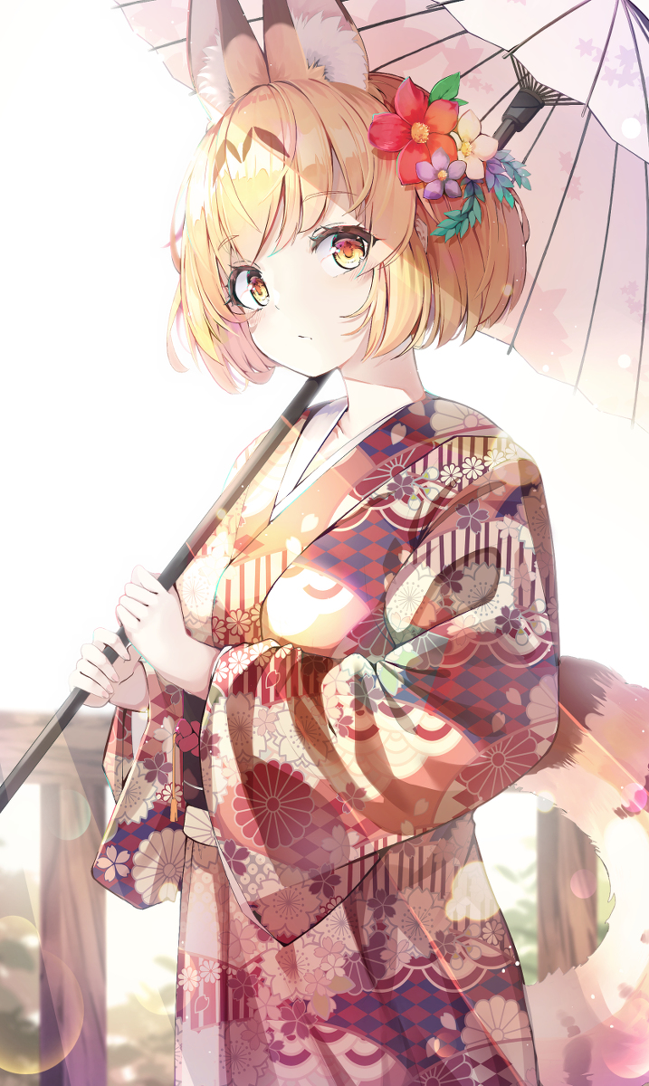 This is a pixiv picture whose title is kimono - サーバルちゃん.