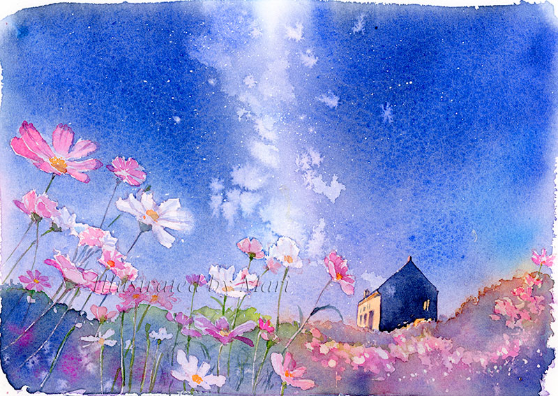 This is a pixiv picture whose title is コスモス畑と宇宙(そら).