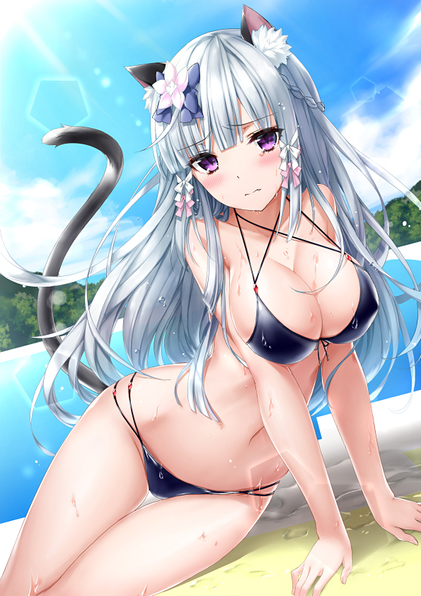 This is a pixiv picture whose title is 泳げなかったねこさん.