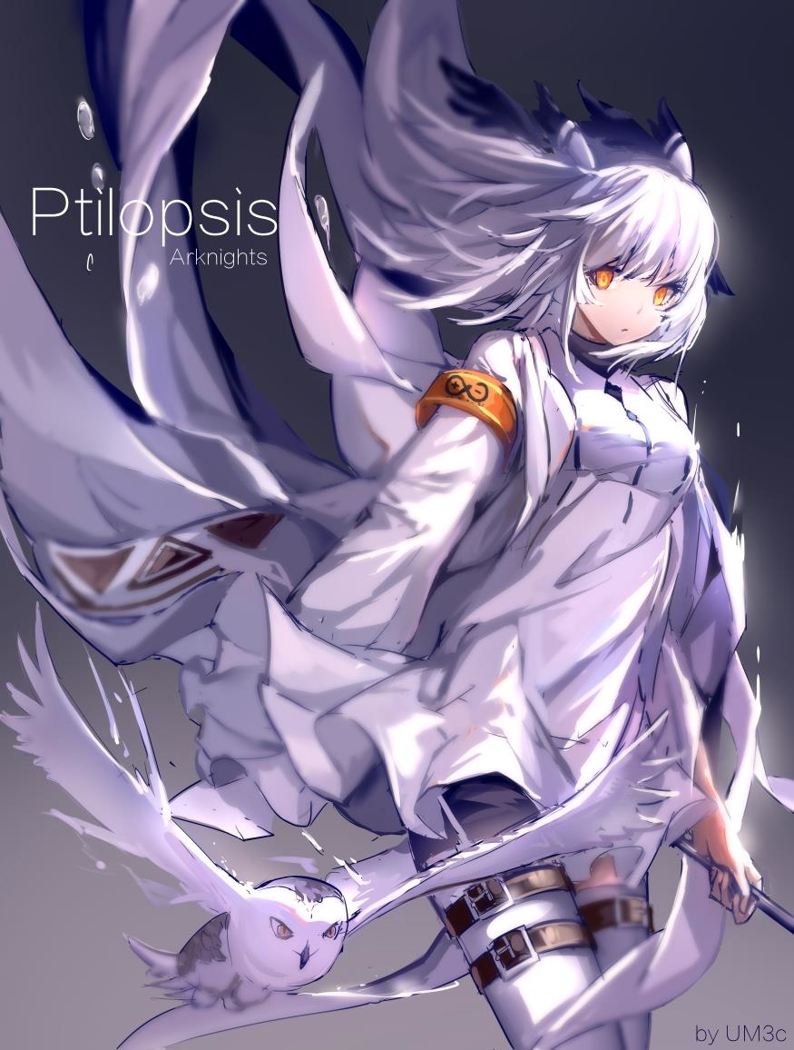 This is a pixiv picture whose title is Ptilopsis.