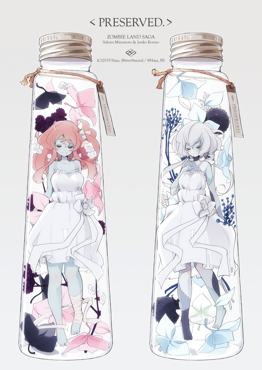 This is a pixiv picture whose title is <PRESERVED.>(ゾンビランドサガ/源さくら・紺野純子).