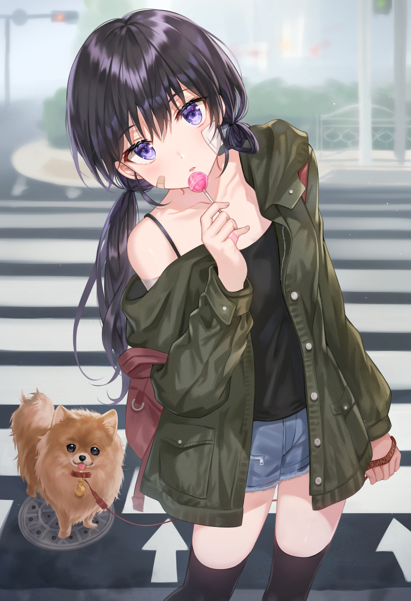 This is a pixiv picture whose title is 何ですか?.