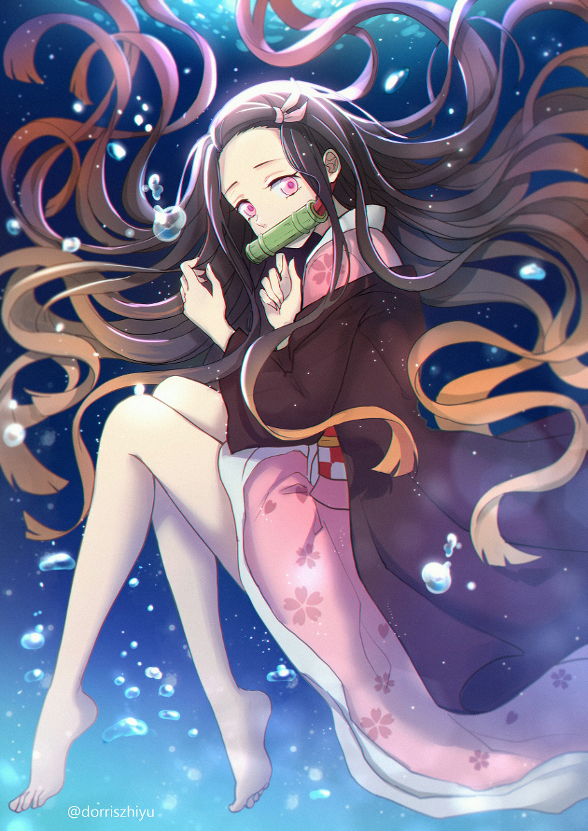 This is a pixiv picture whose title is 祢豆子.
