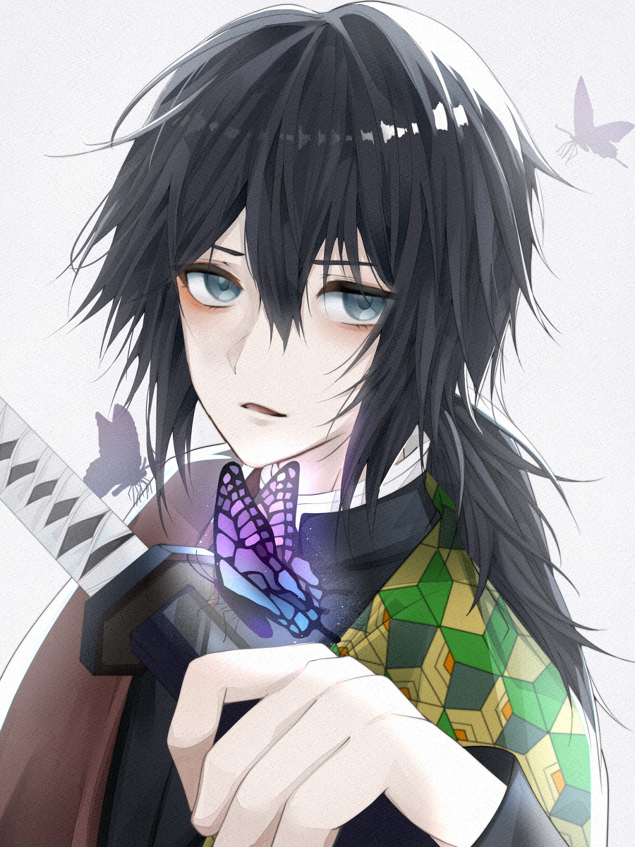 This is a pixiv picture whose title is 胡蝶.