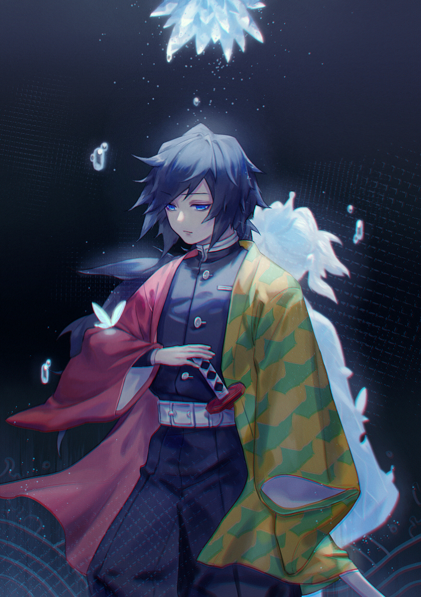 This is a pixiv picture whose title is 蝶.
