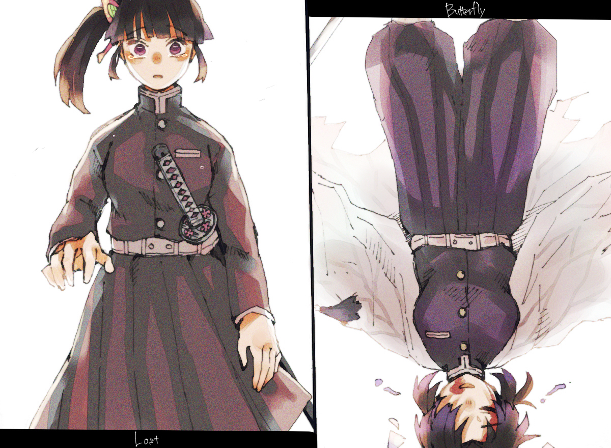 This is a pixiv picture whose title is 蝶.