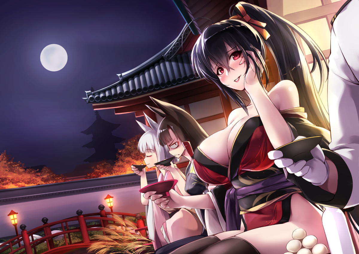 This is a pixiv picture whose title is 月見酒.