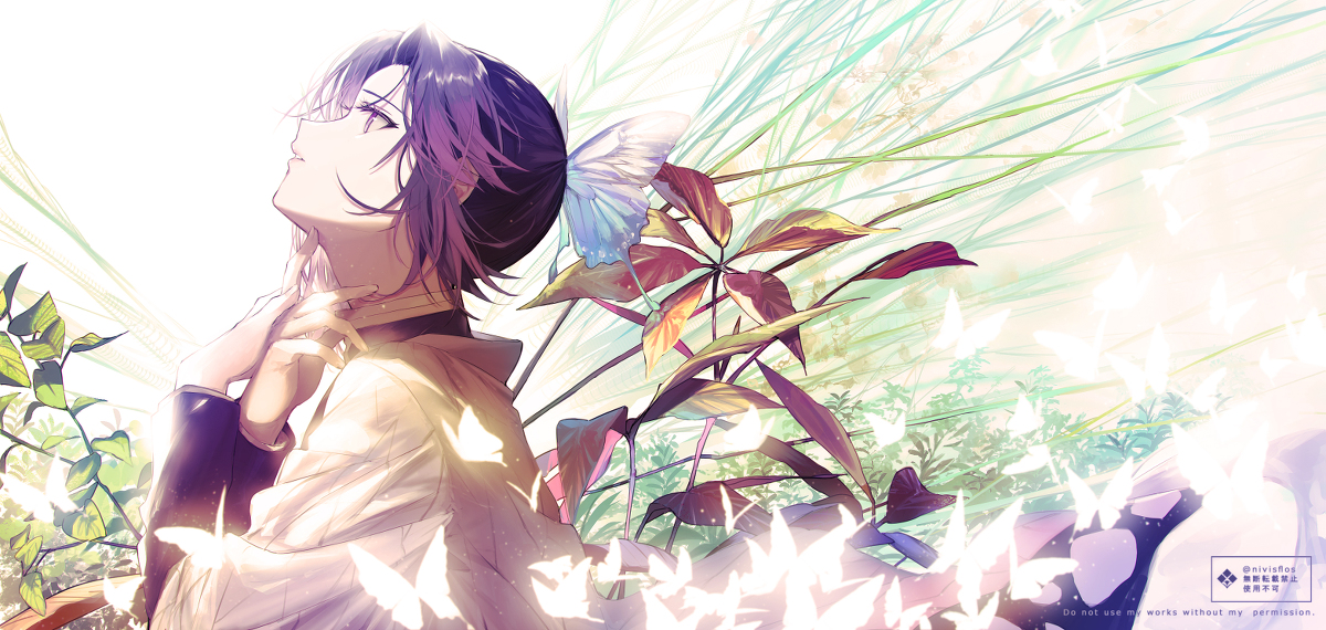 This is a pixiv picture whose title is 胡蝶の夢.