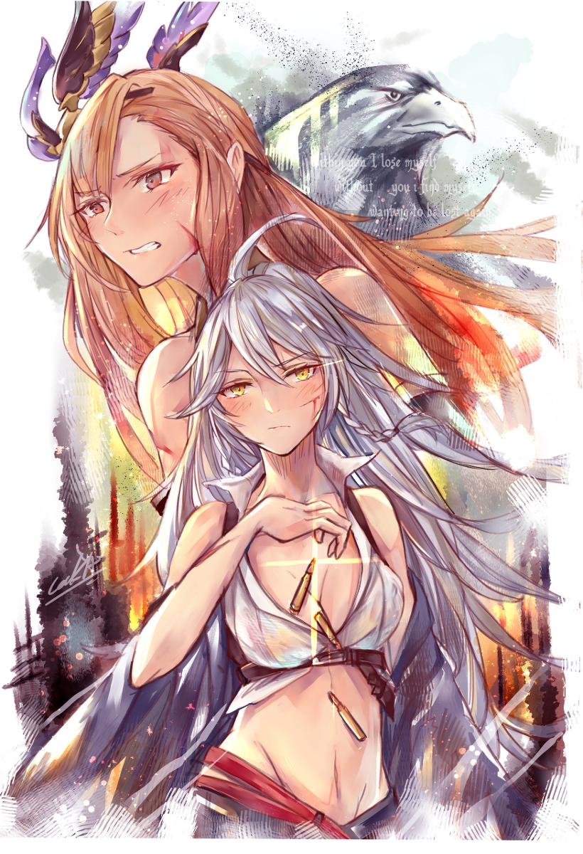 This is a pixiv picture whose title is Determination.