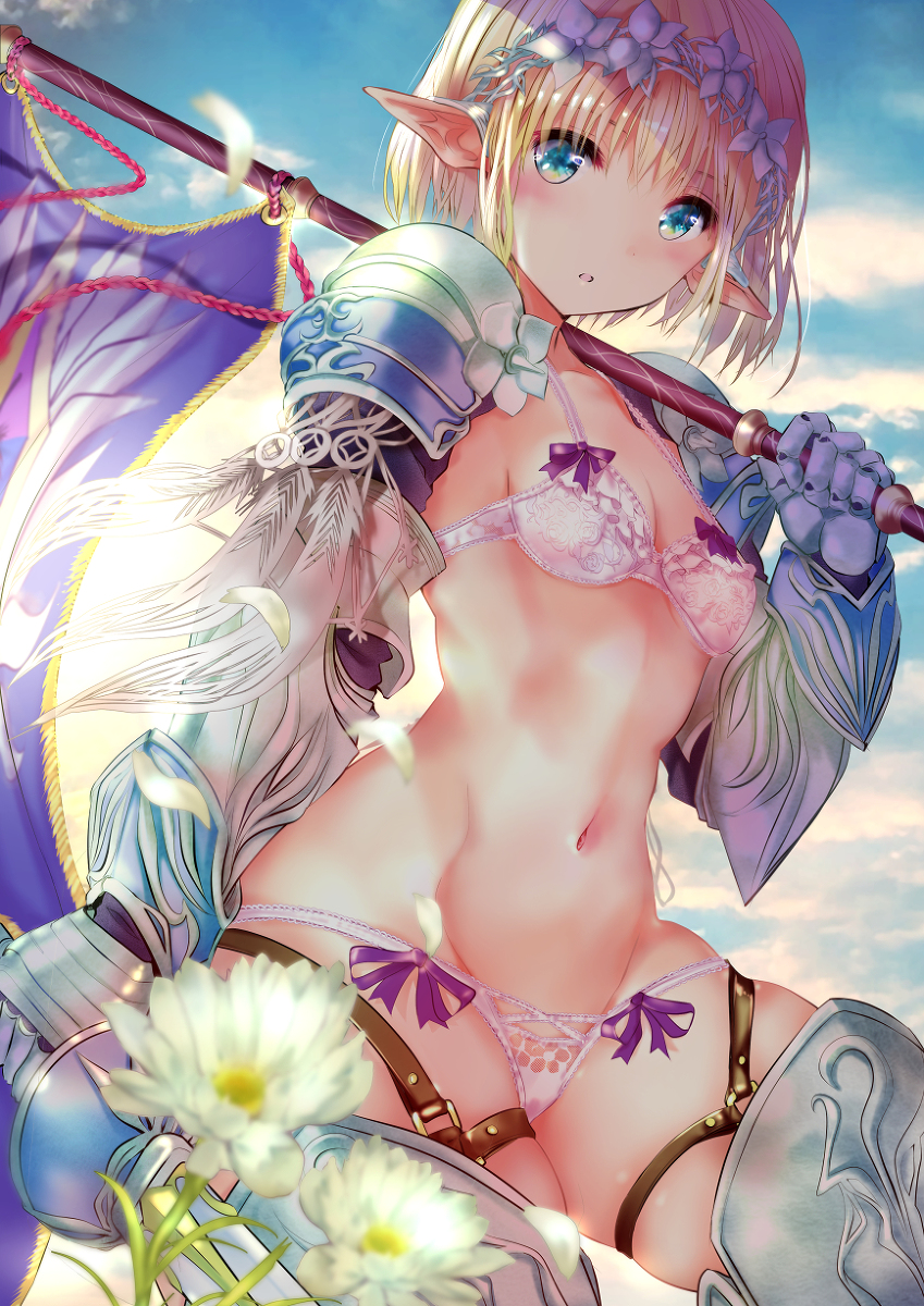 This is a pixiv picture whose title is エルフ姫騎士.