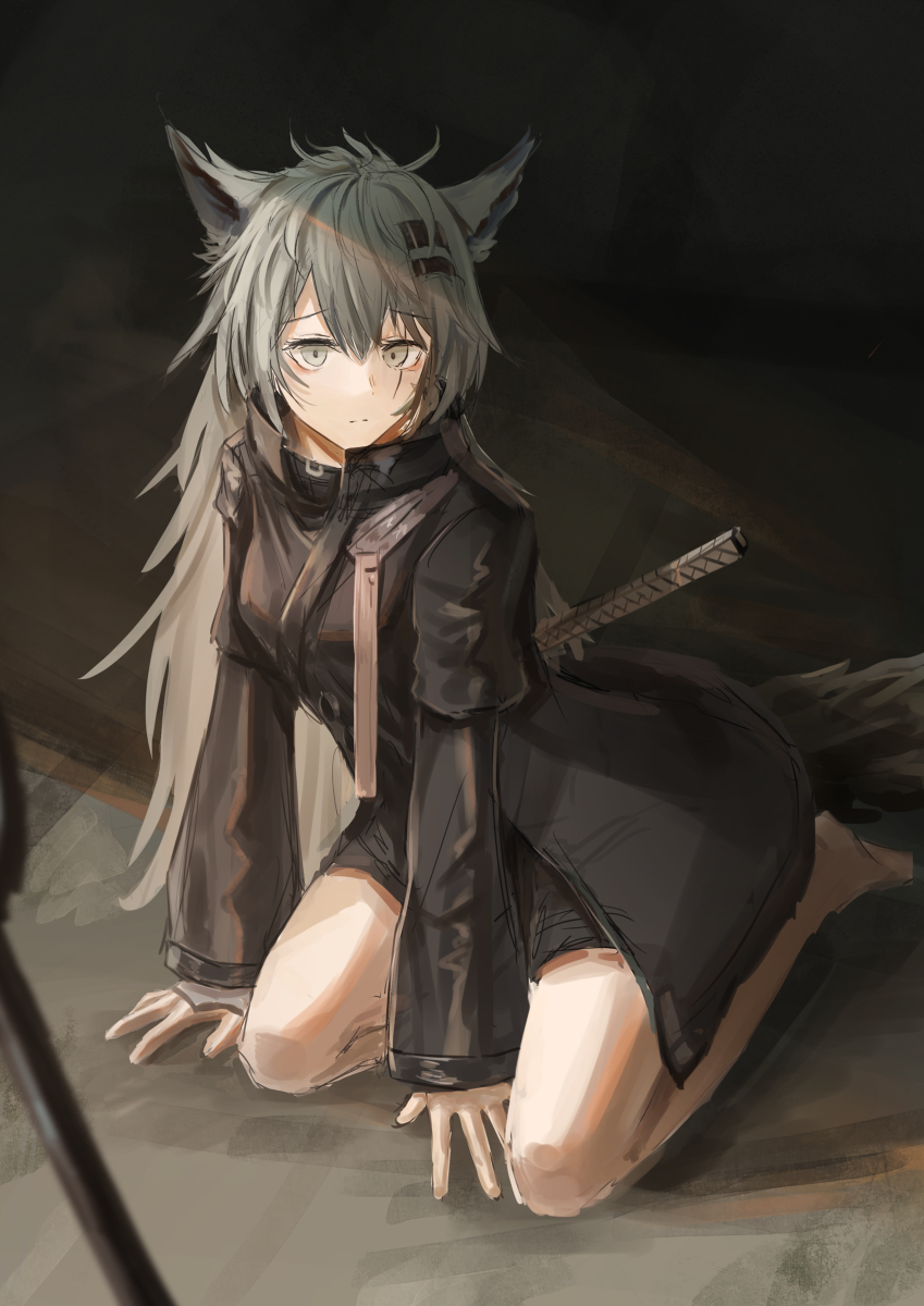 This is a pixiv picture whose title is LAPLAND fixed.