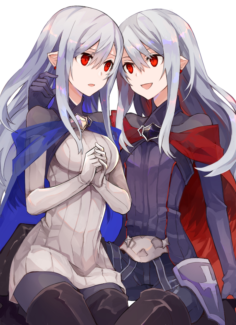 This is a pixiv picture whose title is twins.