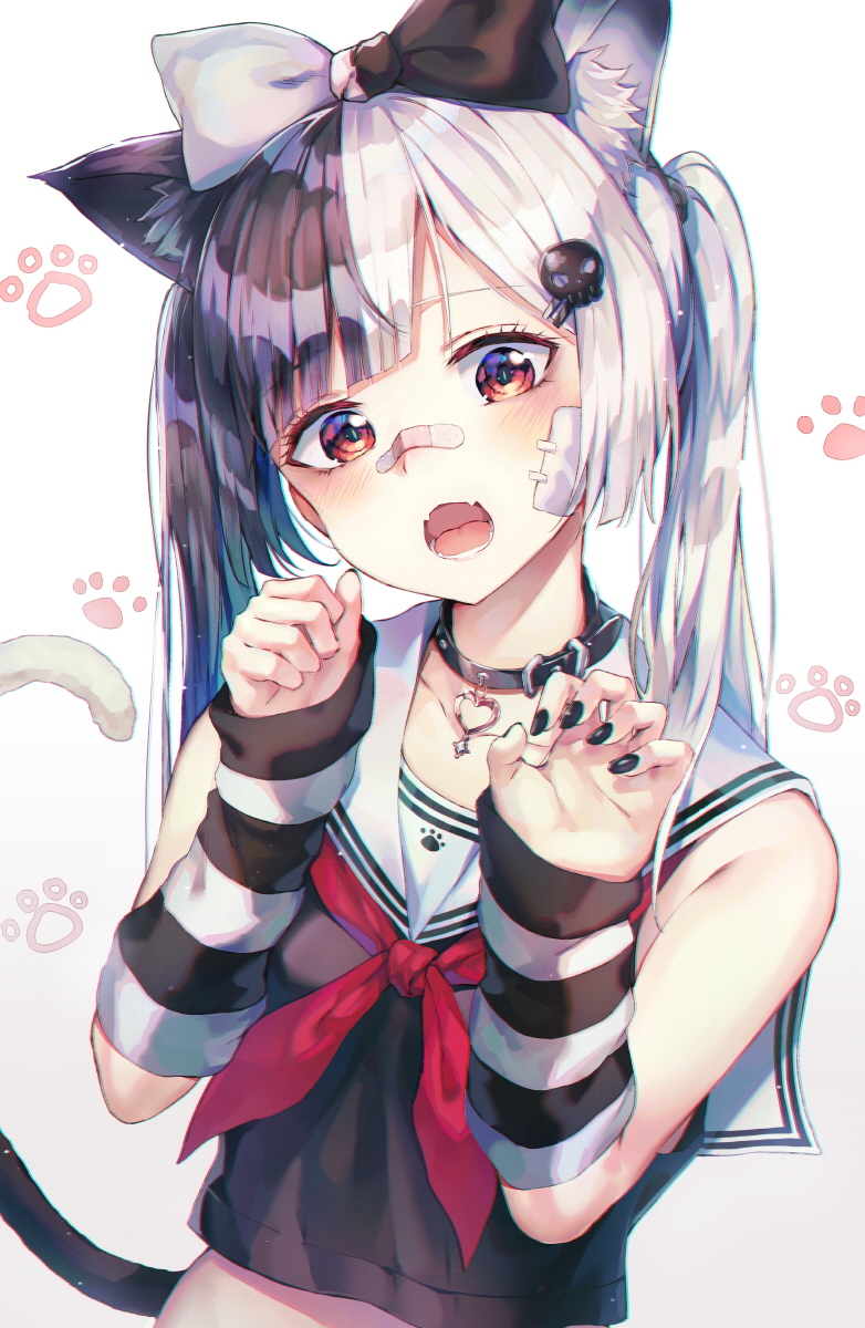 This is a pixiv picture whose title is neko.