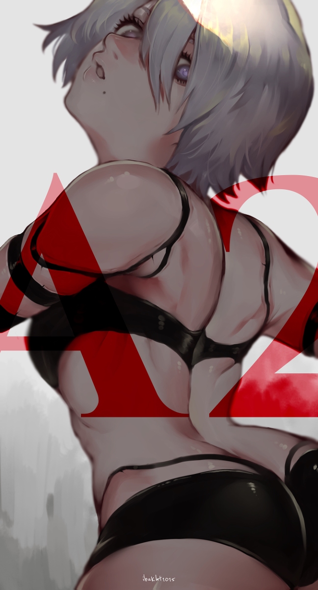 This is a pixiv picture whose title is A2.