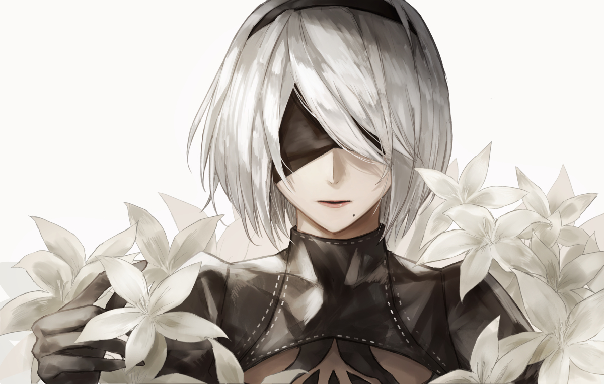 This is a pixiv picture whose title is 2B.