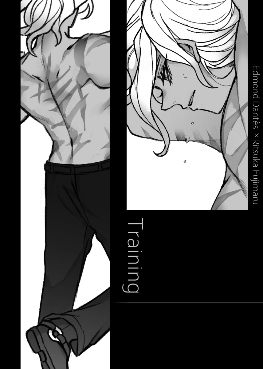 This is a pixiv picture whose title is 【小説表紙/挿絵】Training.