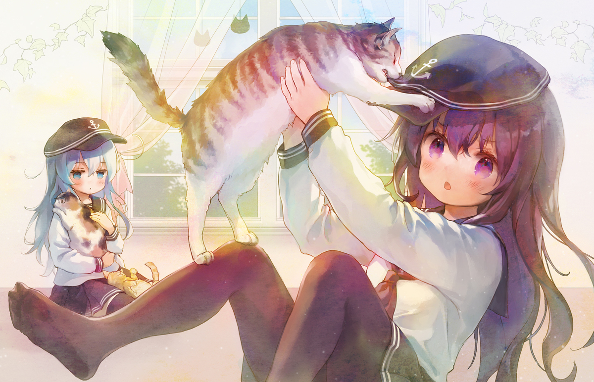 This is a pixiv picture whose title is 暁ﾁｬﾝと懐かない猫.