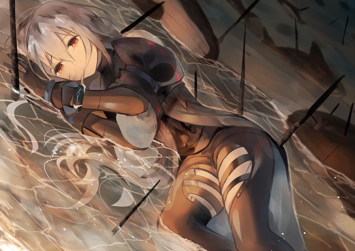 This is a pixiv picture whose title is fight.