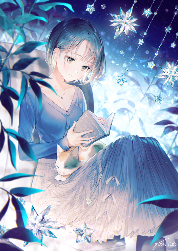 This is a pixiv picture whose title is ほしのはなし.