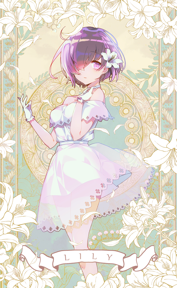 This is a pixiv picture whose title is ましゅちゃん ​​​​.