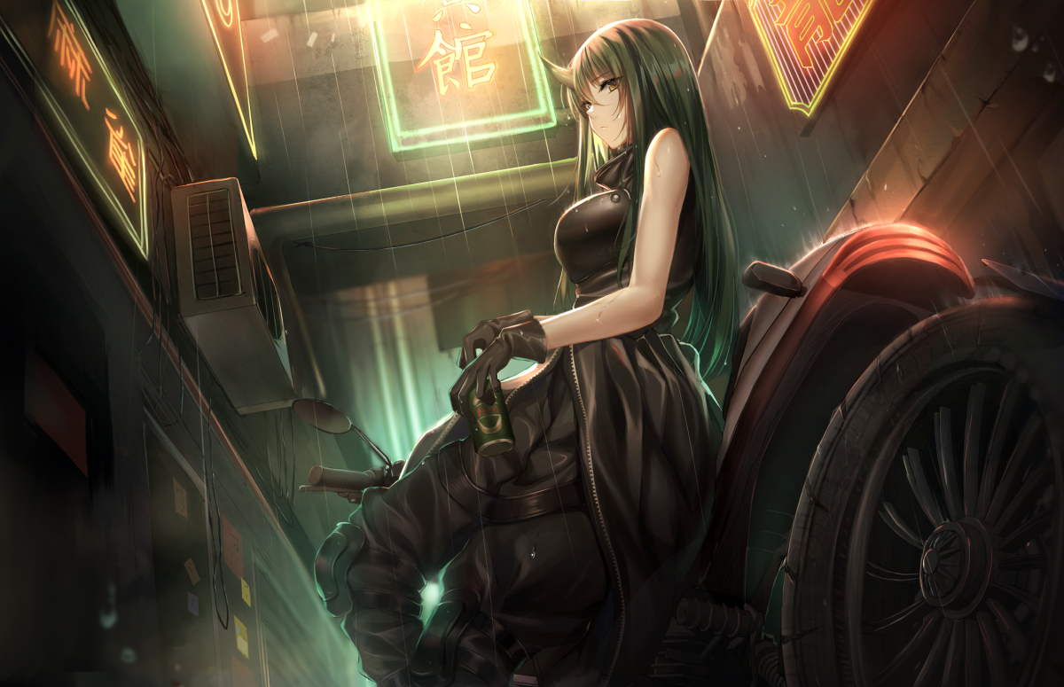 This is a pixiv picture whose title is 龍 門 大 飈 客.