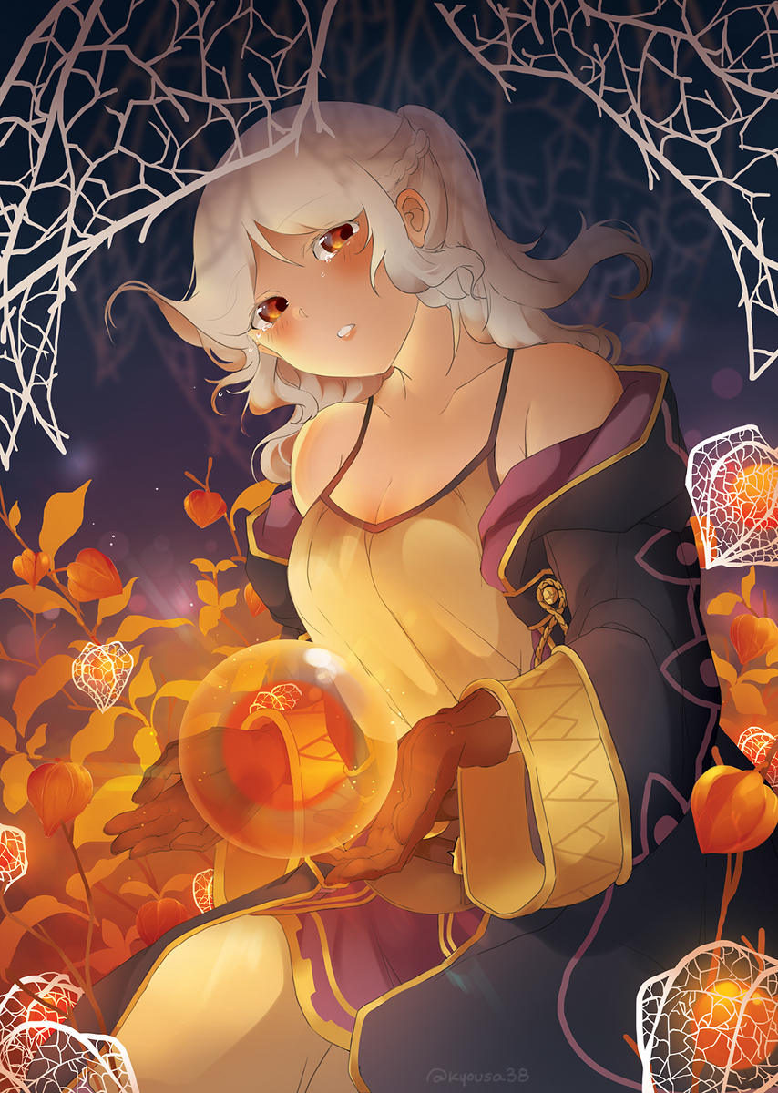 This is a pixiv picture whose title is ホオズキの実.