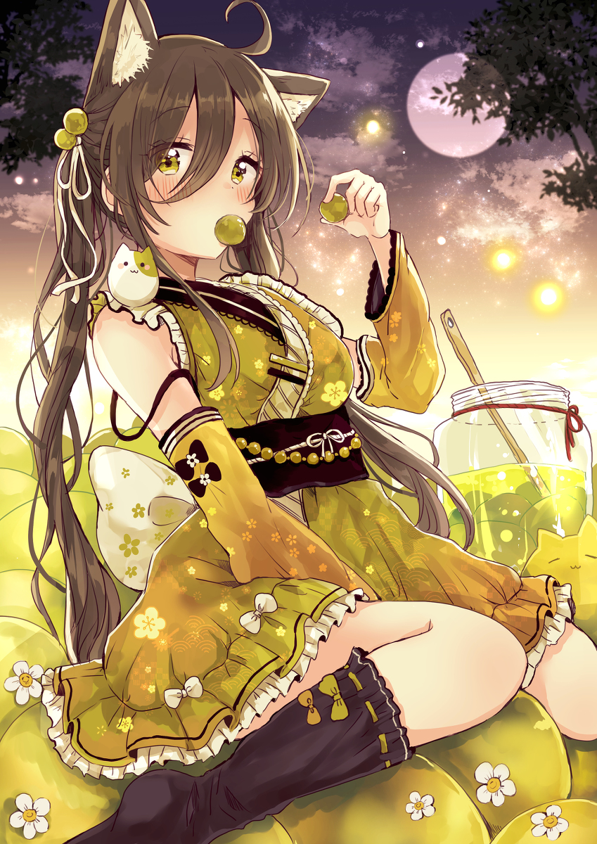 This is a pixiv picture whose title is 梅酒ちゃん.