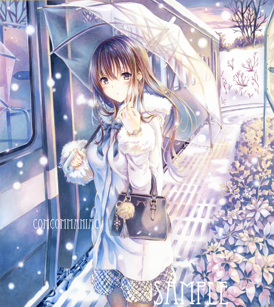 This is a pixiv picture whose title is 師走の鉄道　(アナログ).