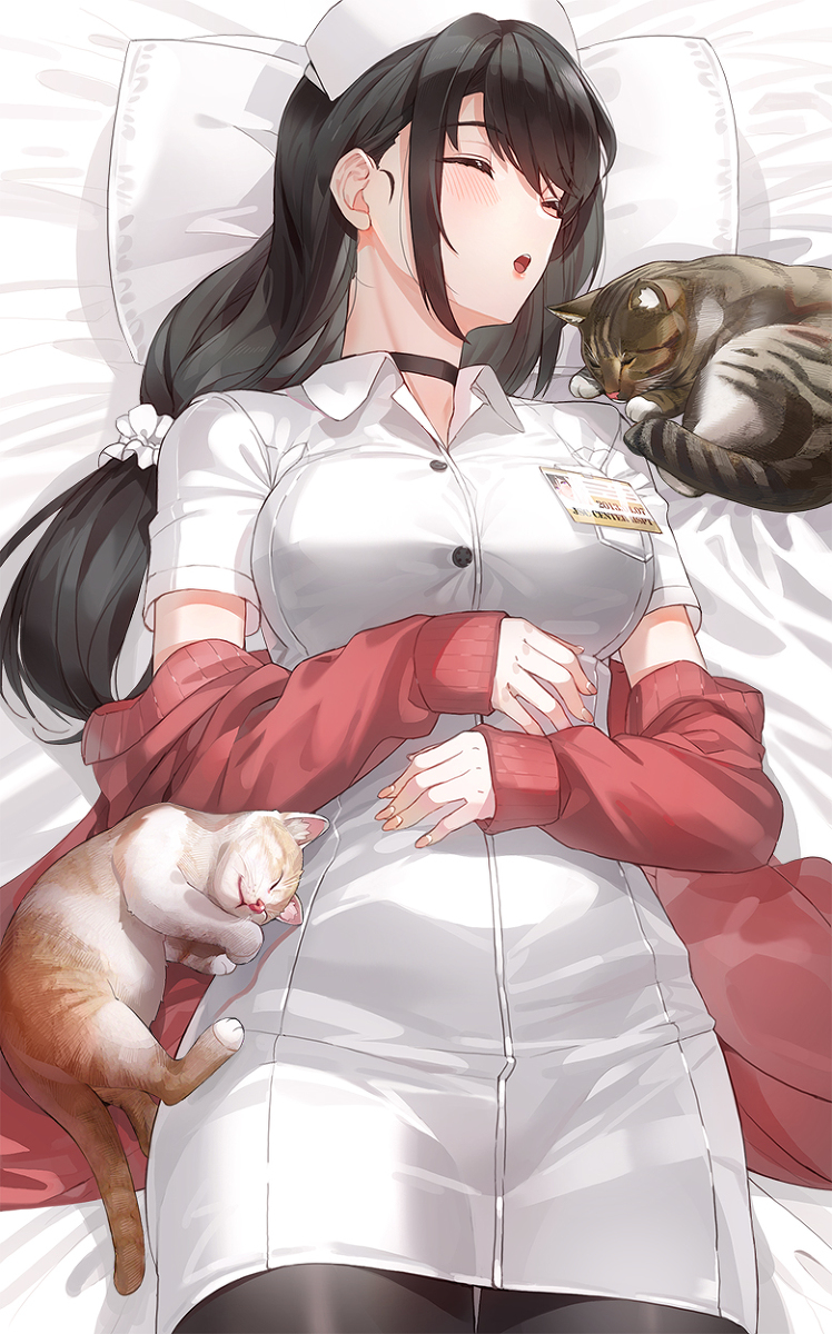 This is a pixiv picture whose title is 🐱😴.