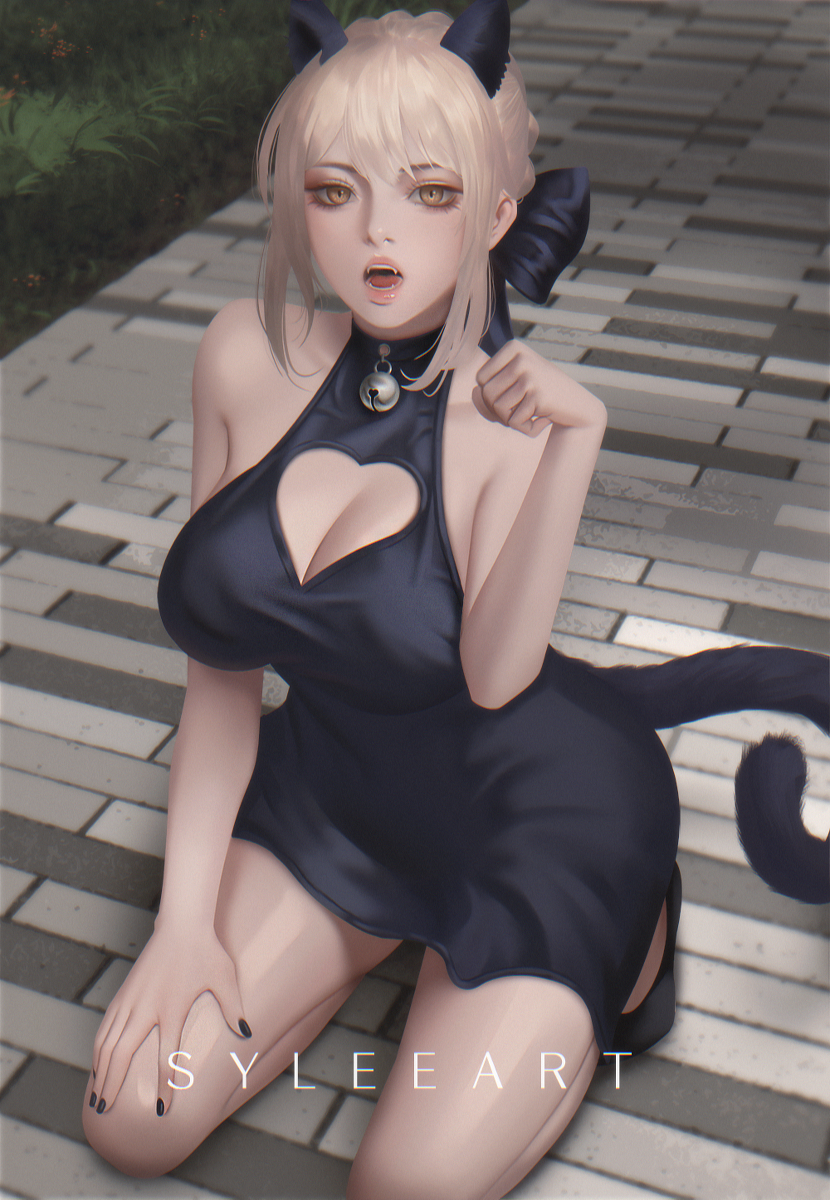 This is a pixiv picture whose title is saber alter cat.