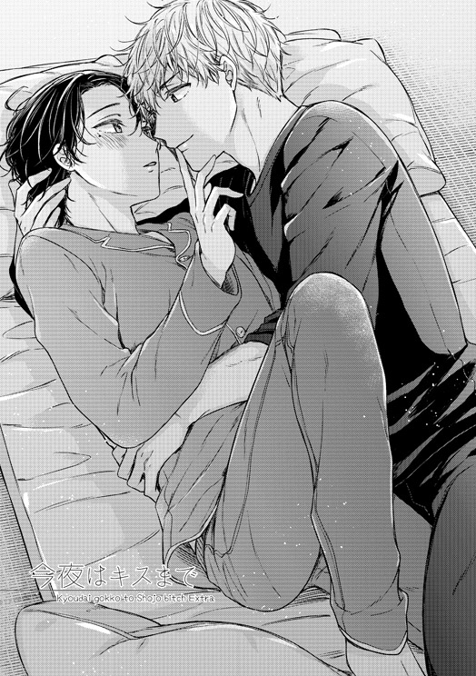 This is a pixiv picture whose title is 兄弟ごっこと処女ビッチ小冊子.